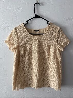 Talbots Cream Lace Short Sleeve Scoop Neck Top